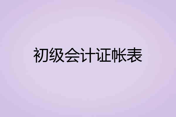 初级会计证帐表