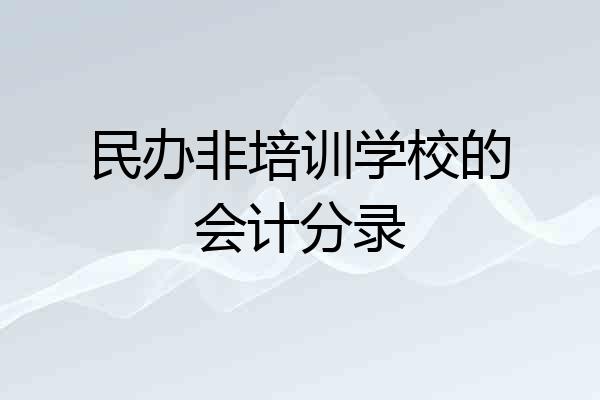 民办非培训学校的会计分录