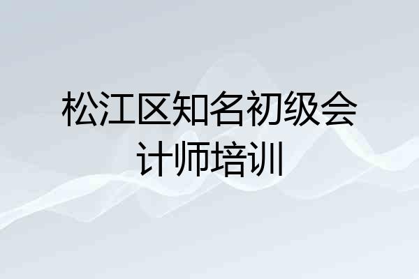 松江区知名初级会计师培训