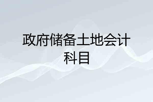 政府储备土地会计科目