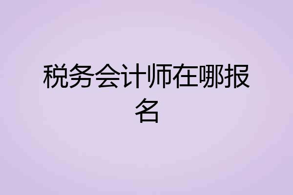 税务会计师在哪报名