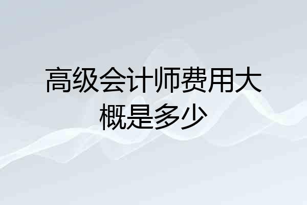 高级会计师费用大概是多少