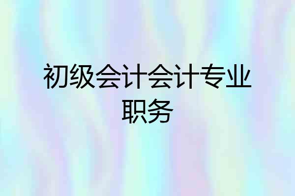 初级会计会计专业职务