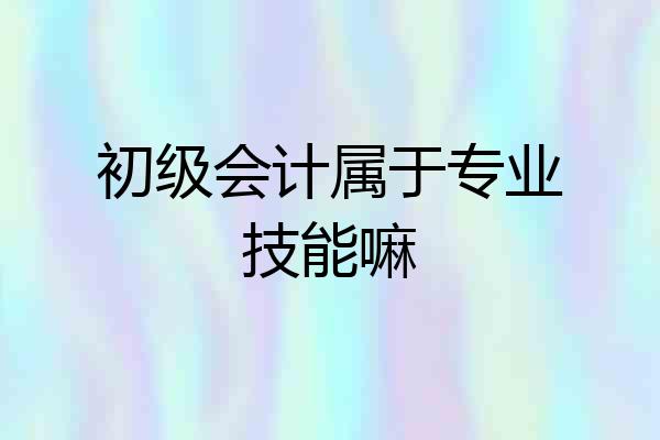 初级会计属于专业技能嘛