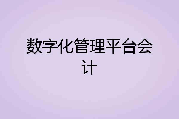 数字化管理平台会计