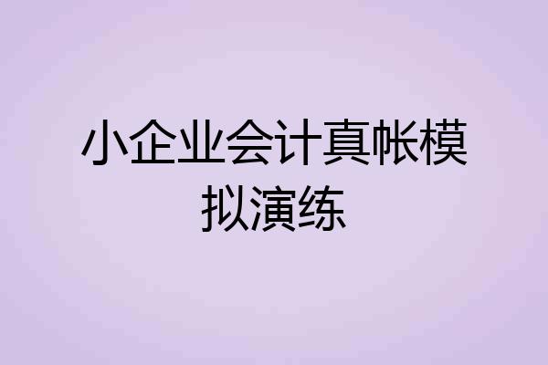 小企业会计真帐模拟演练
