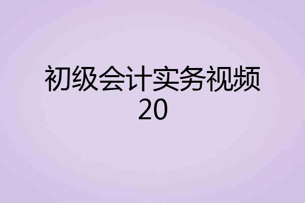 初级会计实务视频20