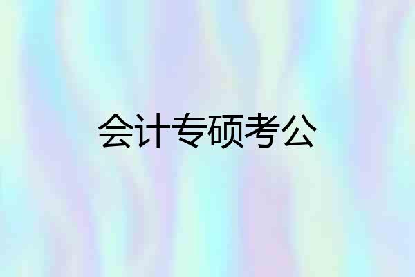 会计专硕考公