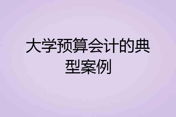 大学预算会计的典型案例