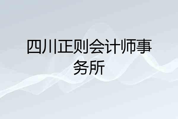 四川正则会计师事务所