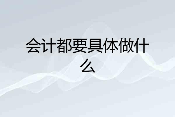 会计都要具体做什么