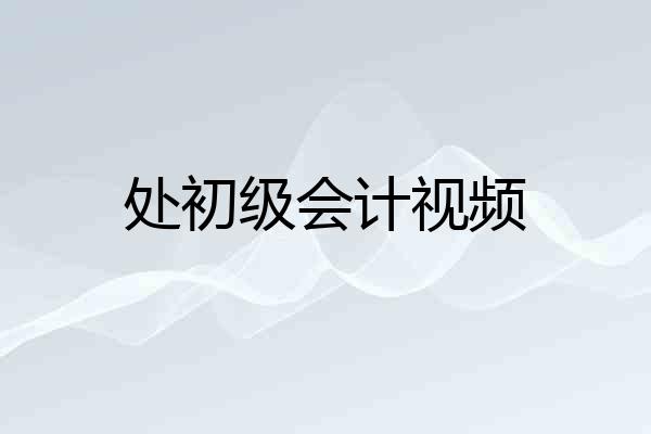 处初级会计视频