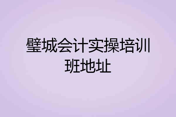 璧城会计实操培训班地址