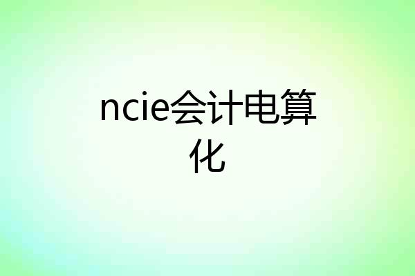 ncie会计电算化