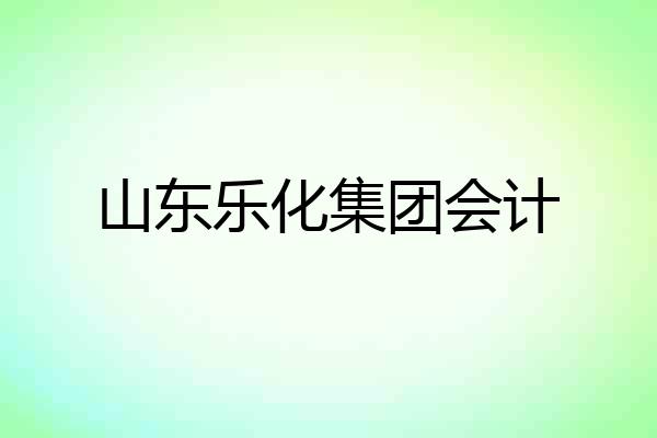山东乐化集团会计