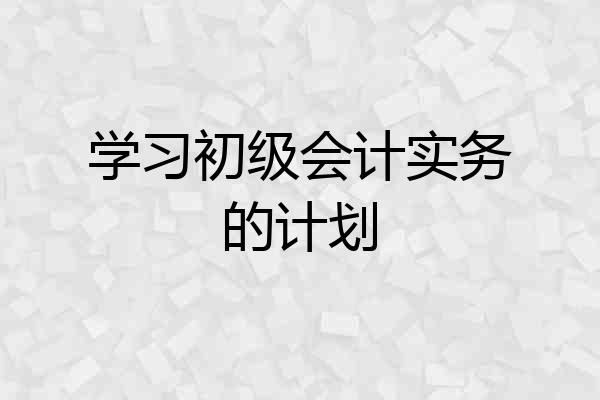 学习初级会计实务的计划
