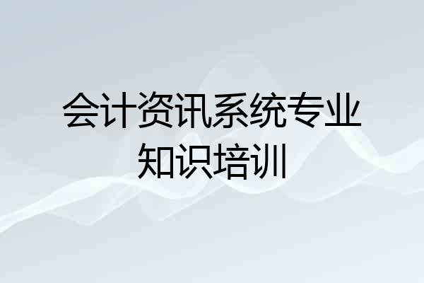 会计资讯系统专业知识培训
