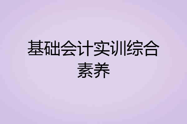 基础会计实训综合素养
