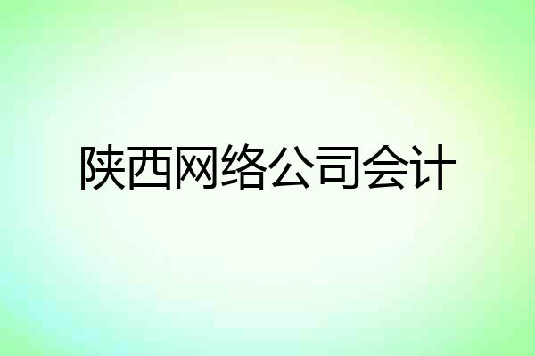 陕西网络公司会计