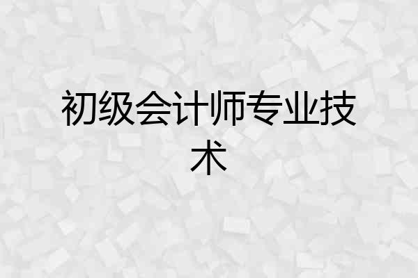 初级会计师专业技术