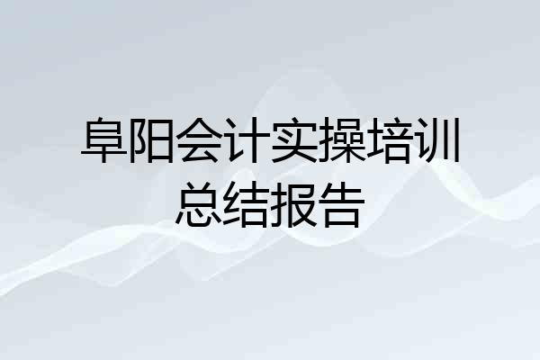 阜阳会计实操培训总结报告