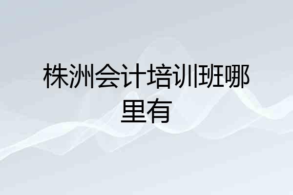 株洲会计培训班哪里有