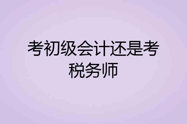 考初级会计还是考税务师