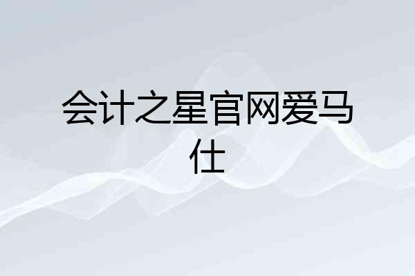 会计之星官网爱马仕