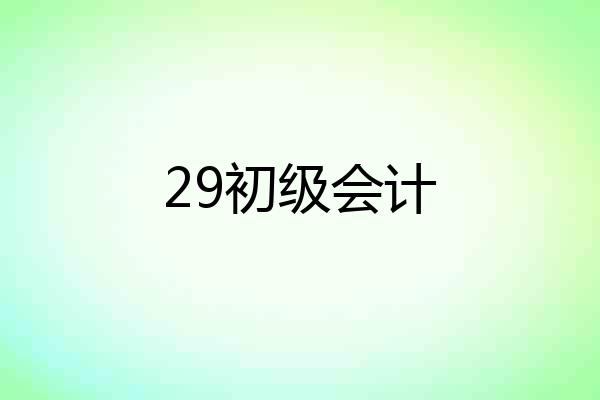 29初级会计