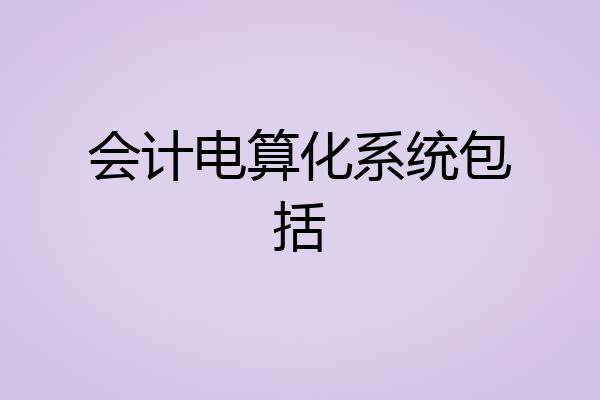 会计电算化系统包括