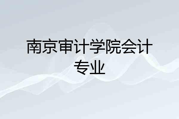南京审计学院会计专业