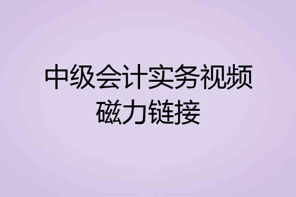 中级会计实务视频磁力链接