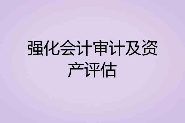 强化会计审计及资产评估