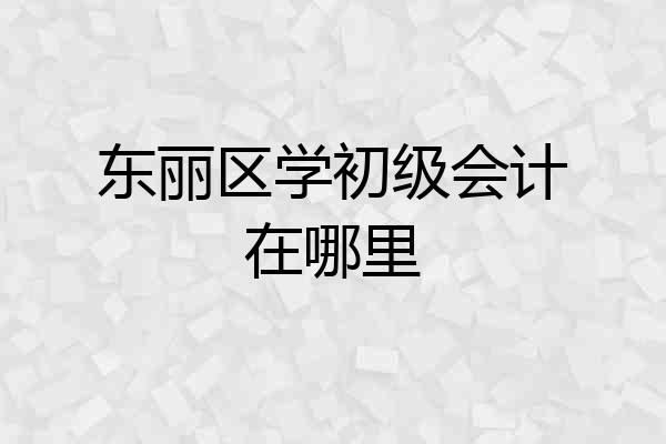 东丽区学初级会计在哪里