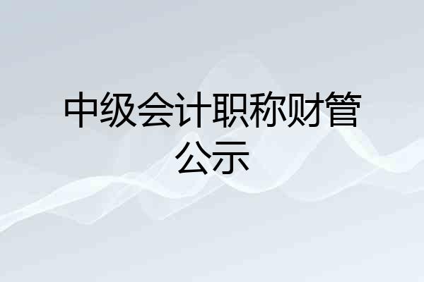 中级会计职称财管公示