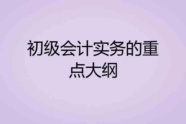 初级会计实务的重点大纲