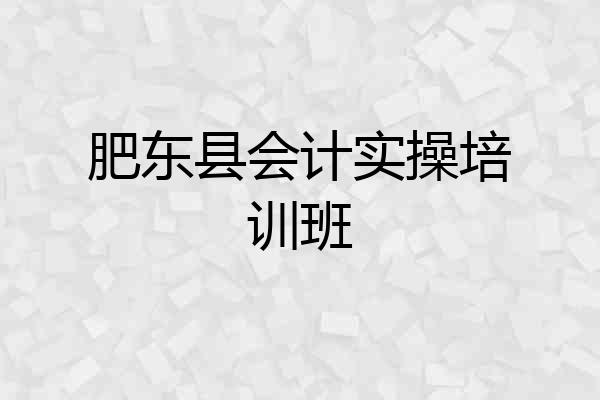 肥东县会计实操培训班