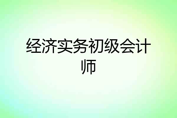 经济实务初级会计师