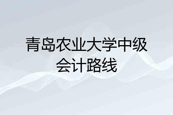 青岛农业大学中级会计路线