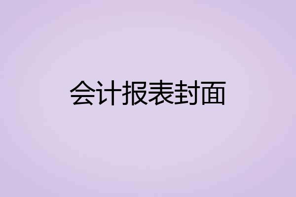 会计报表封面