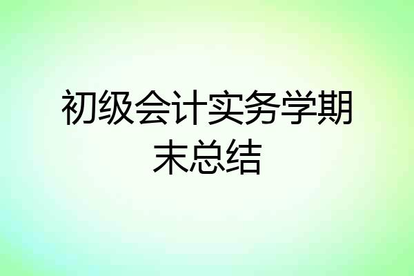 初级会计实务学期末总结