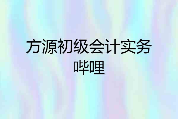 方源初级会计实务哔哩