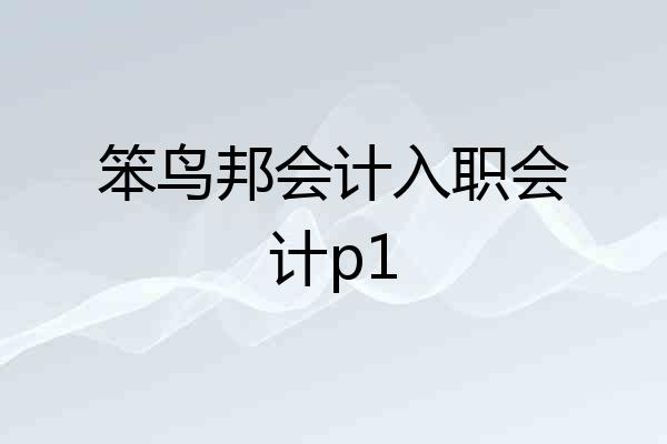 笨鸟邦会计入职会计p1
