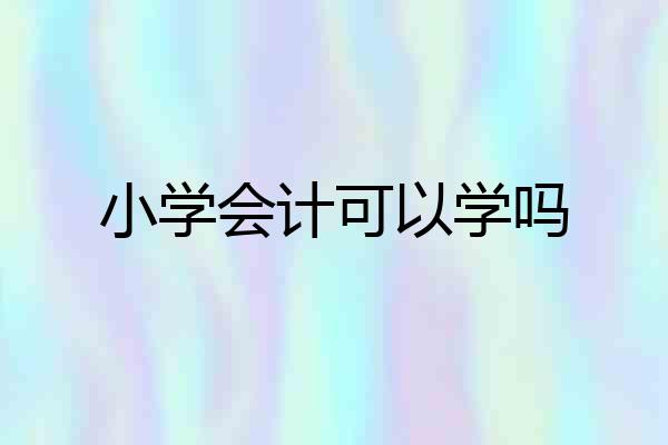 小学会计可以学吗