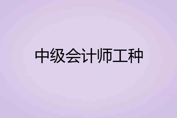 中级会计师工种