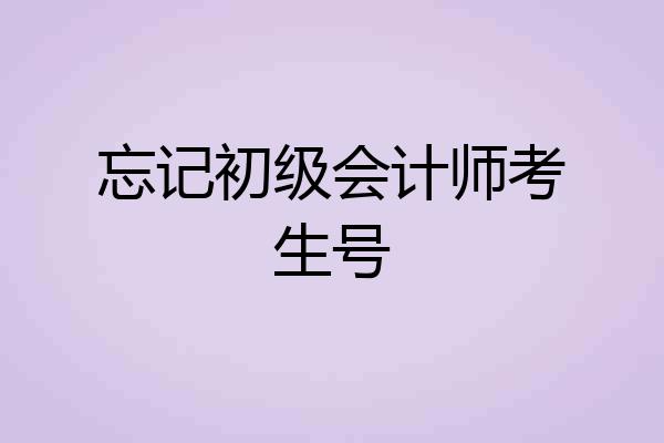 忘记初级会计师考生号