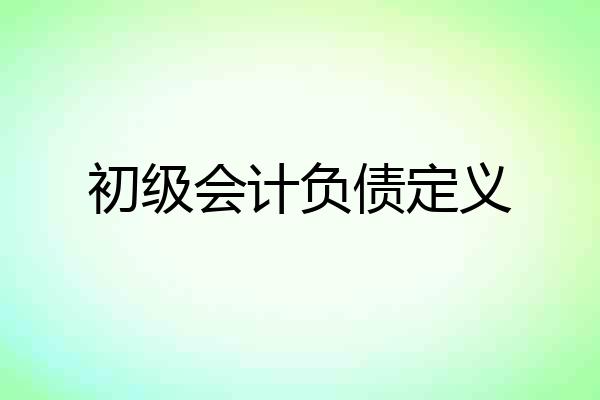 初级会计负债定义