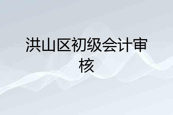 洪山区初级会计审核