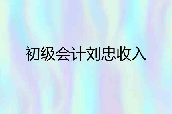 初级会计刘忠收入