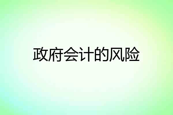 政府会计的风险